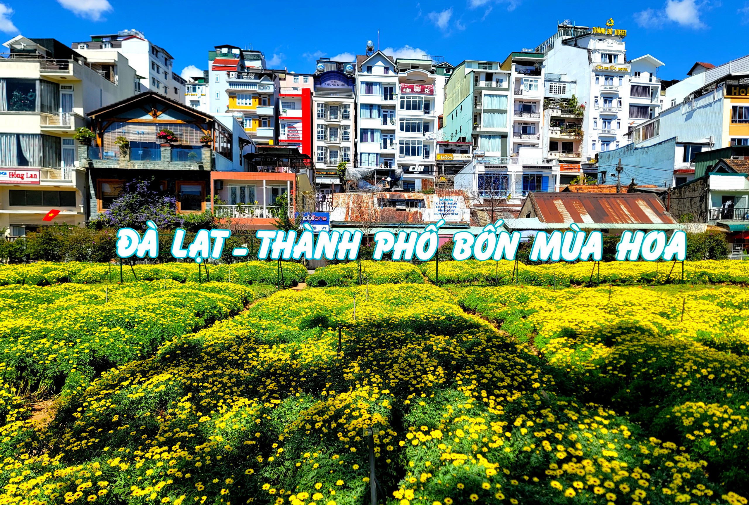 Thuê Xe Đà Lạt Đi Sài Gòn